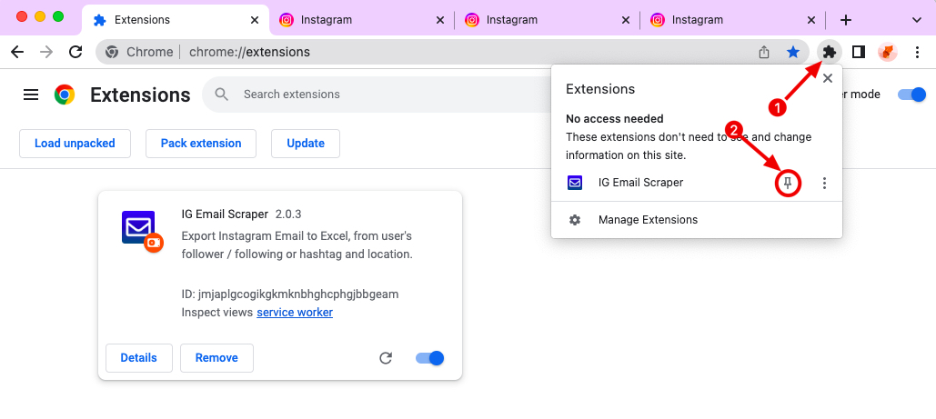 Bluesky DM Bot chrome extension install pin